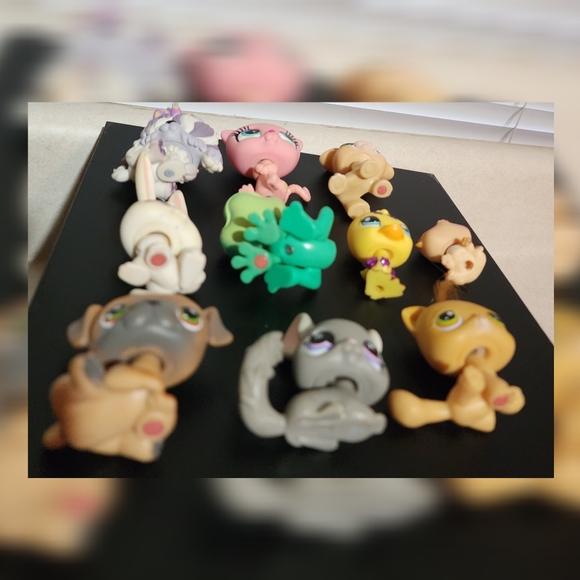 Littlest Pet Shop Authentic Bundle  (10) - Picture 9 of 11